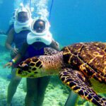 Cham Island vietnam snorkeling