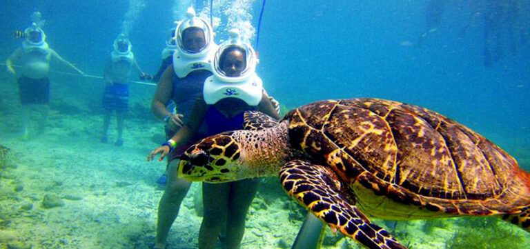 Cham Island vietnam snorkeling