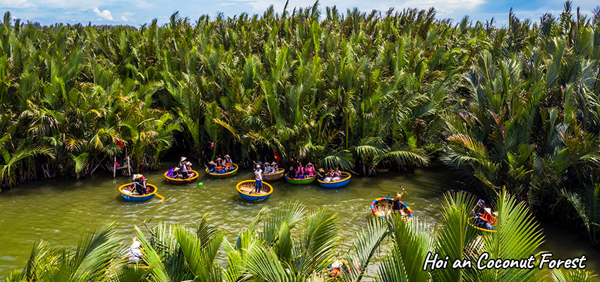 Hoi An Day Trip From Da Nang