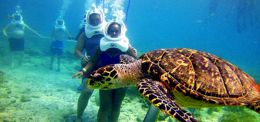 Cham Island vietnam snorkeling