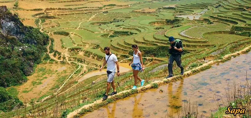 Sapa_2