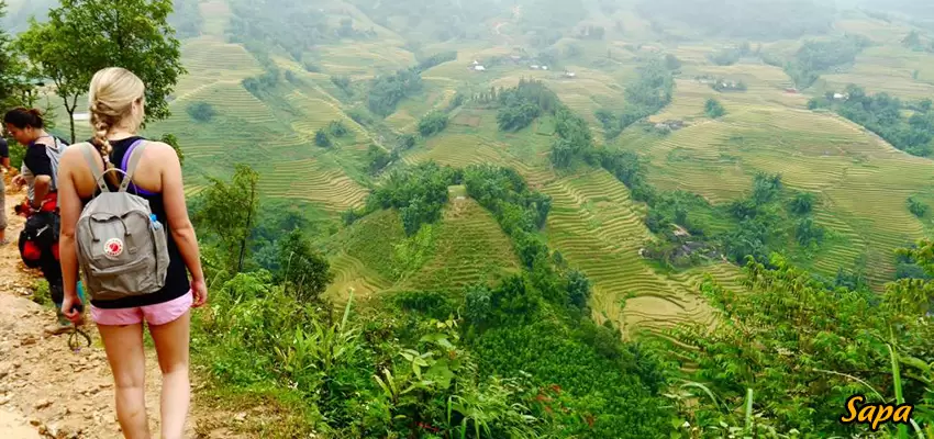 Sapa_3